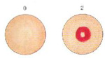 Fluoride Test Kit